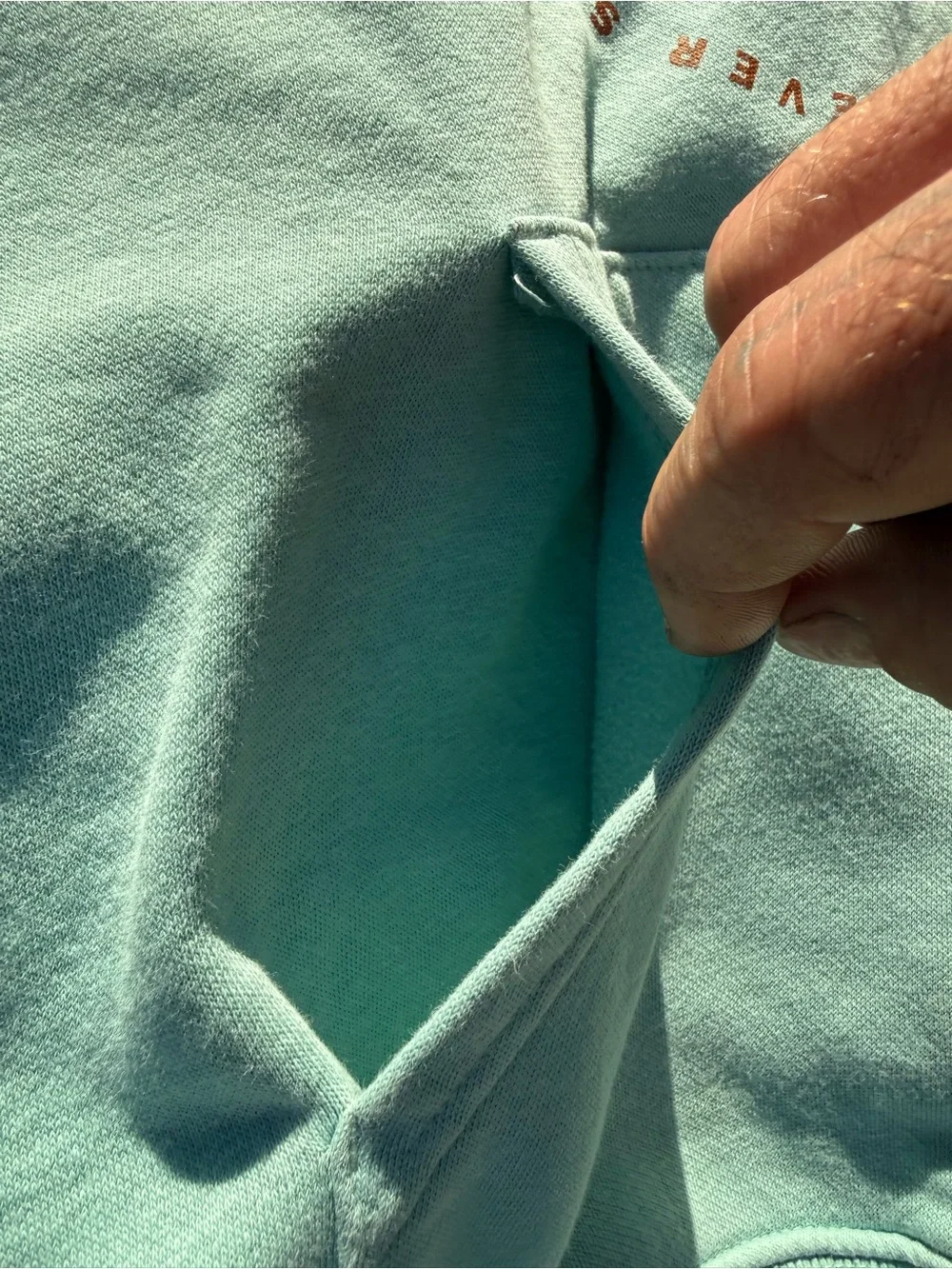 The North Face Men's Light Mint Green Crewneck Hoodie